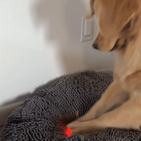 Bounce Ball: Interactive LED Light-Up Toy for Dogs & Cats