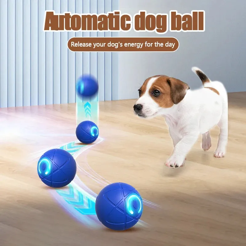 Bounce Ball: Interactive LED Light-Up Toy for Dogs & Cats