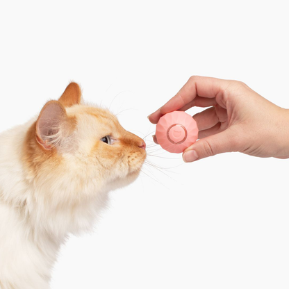 🐱Smart Interactive Cat Toy Ball: Autonomous Play for Smarter and More Engaging Fun