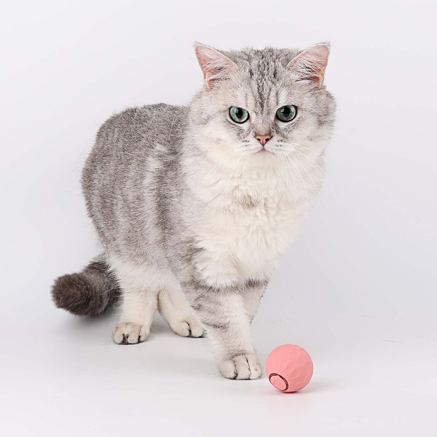 🐱Smart Interactive Cat Toy Ball: Autonomous Play for Smarter and More Engaging Fun