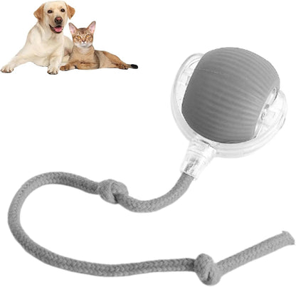 🐱Smart Pet Interactive Rolling Ball – USB Rechargeable, Automatic Moving