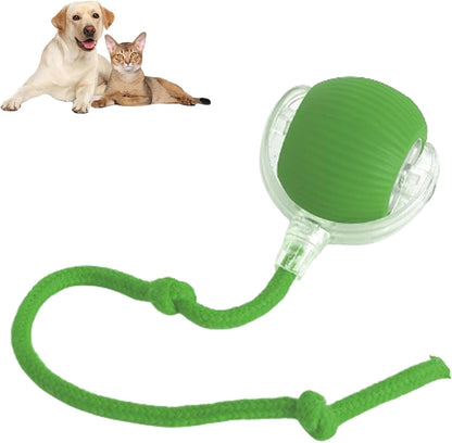 🐱Smart Pet Interactive Rolling Ball – USB Rechargeable, Automatic Moving