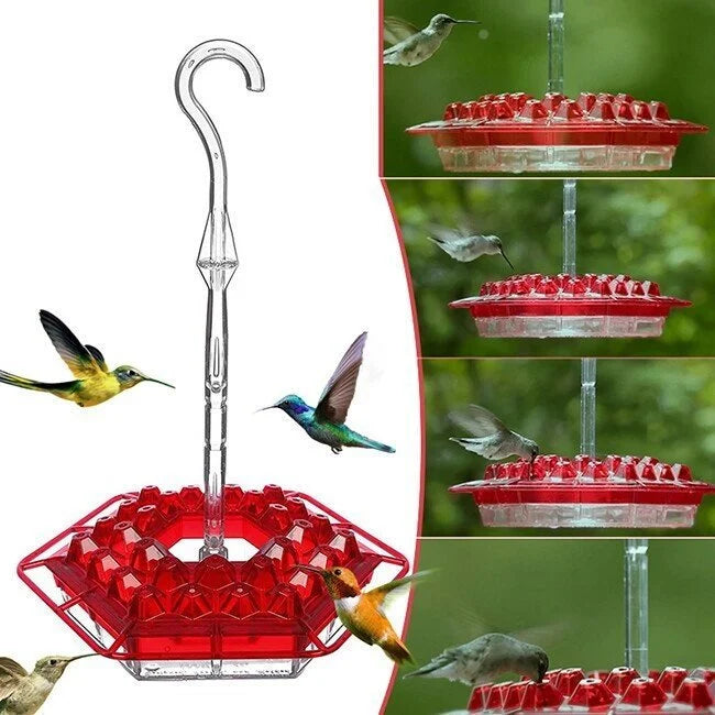 🏡(Spring Sale) 🐦Hummingbird Feeder With Anti-Bug Moat