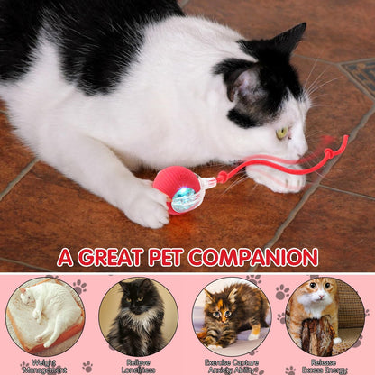 🐱Smart Pet Interactive Rolling Ball – USB Rechargeable, Automatic Moving