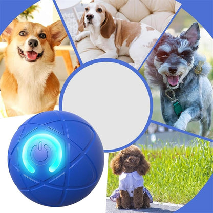 Bounce Ball: Interactive LED Light-Up Toy for Dogs & Cats
