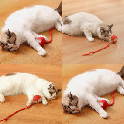 🐱Smart Pet Interactive Rolling Ball – USB Rechargeable, Automatic Moving