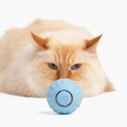 🐱Smart Interactive Cat Toy Ball: Autonomous Play for Smarter and More Engaging Fun