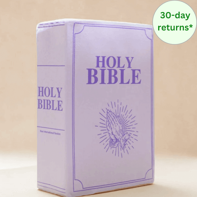Heavenly Hugs: Holy Bible Plush Pillow – Faith, Comfort, and Elegance in Every Embrace