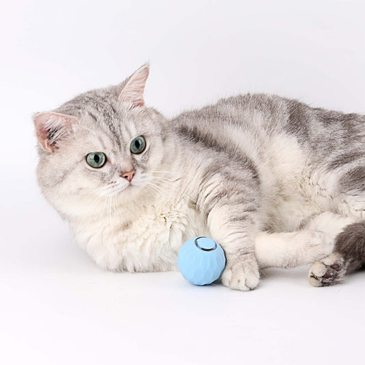 🐱Smart Interactive Cat Toy Ball: Autonomous Play for Smarter and More Engaging Fun