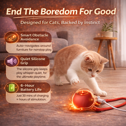 Interactive Smart Ball - The Ultimate Cat Bore-Buster