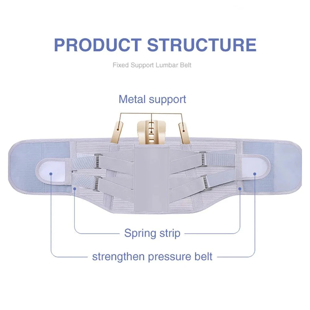 Back Support Belt