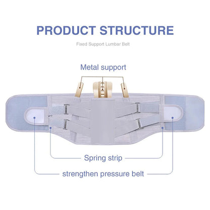 Back Support Belt