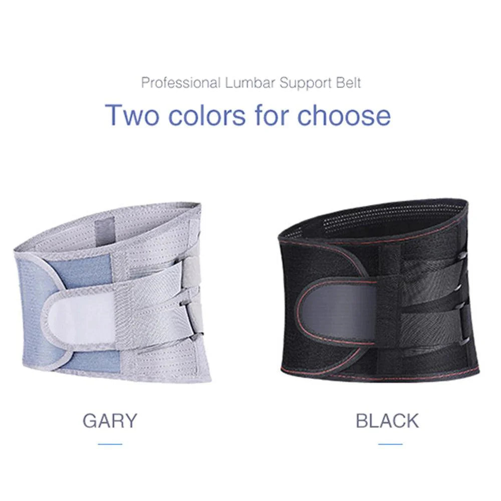 Back Support Belt