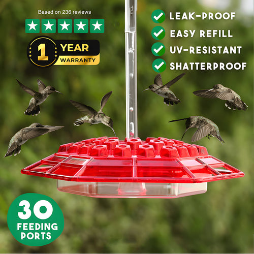🏡(Spring Sale) 🐦Hummingbird Feeder With Anti-Bug Moat