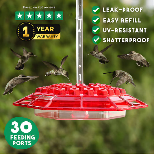 🏡(Spring Sale) 🐦Hummingbird Feeder With Anti-Bug Moat