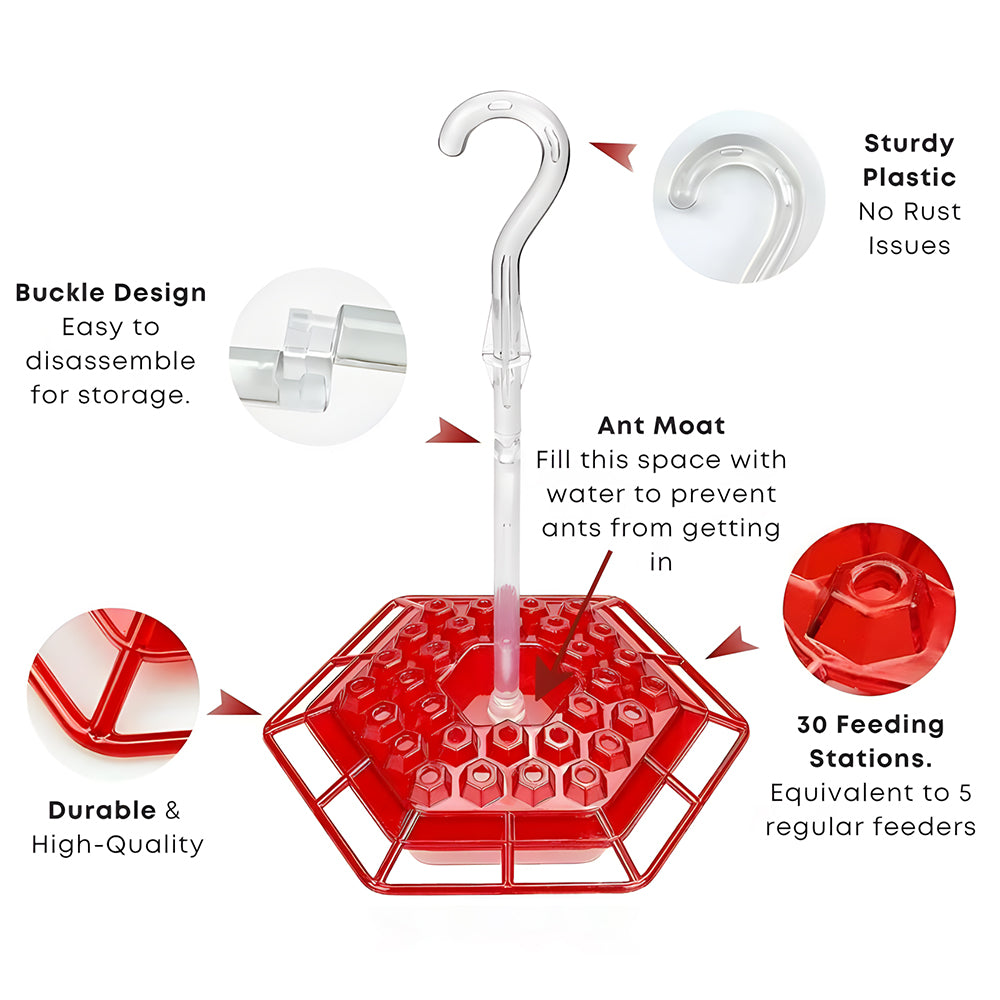 🏡(Spring Sale) 🐦Hummingbird Feeder With Anti-Bug Moat
