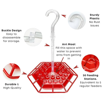 🏡(Spring Sale) 🐦Hummingbird Feeder With Anti-Bug Moat