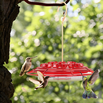 🏡(Spring Sale) 🐦Hummingbird Feeder With Anti-Bug Moat