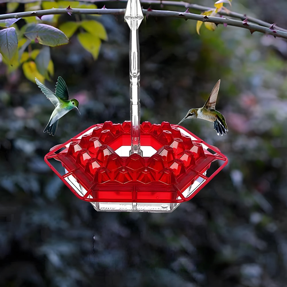 🏡(Spring Sale) 🐦Hummingbird Feeder With Anti-Bug Moat