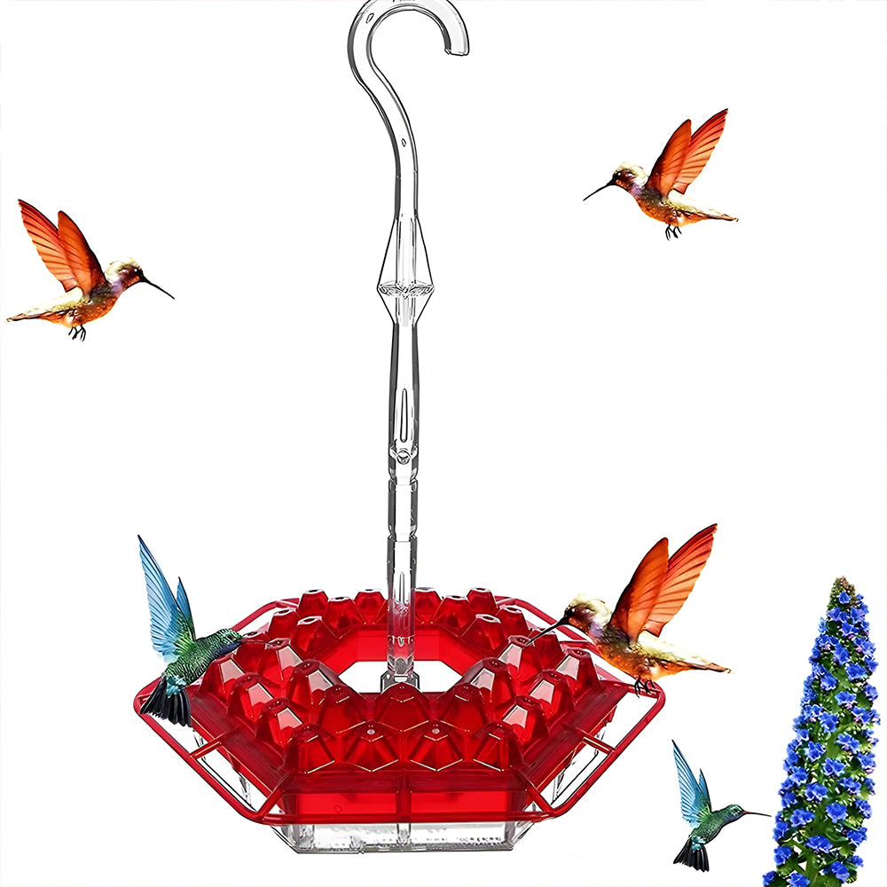 🏡(Spring Sale) 🐦Hummingbird Feeder With Anti-Bug Moat