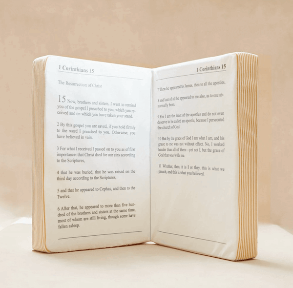 Heavenly Hugs: Holy Bible Plush Pillow – Faith, Comfort, and Elegance in Every Embrace