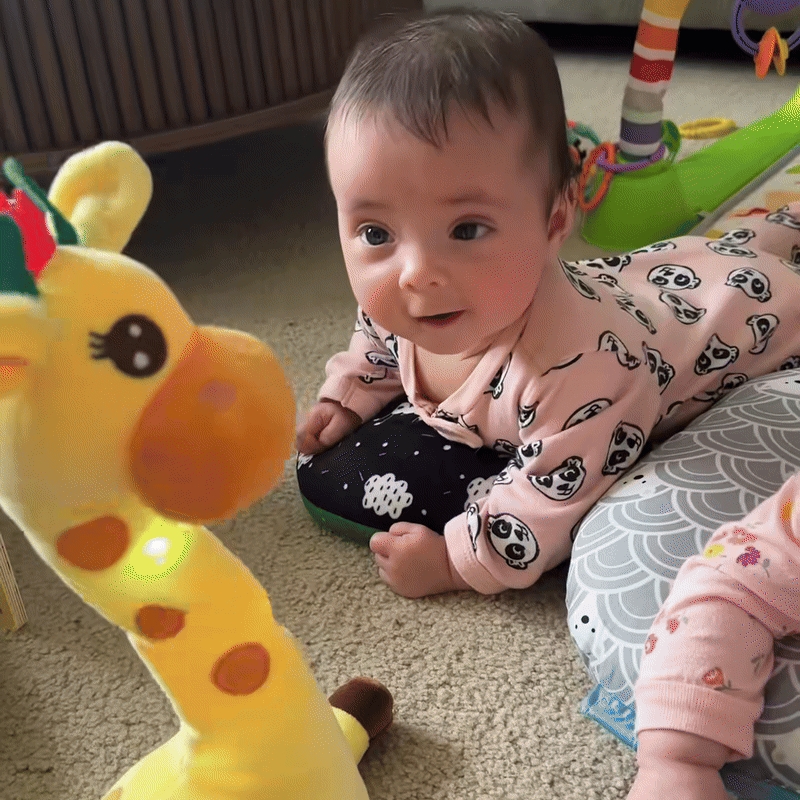 Buddy the Dancing Giraffe: The Ultimate Playtime Companion for Toddlers