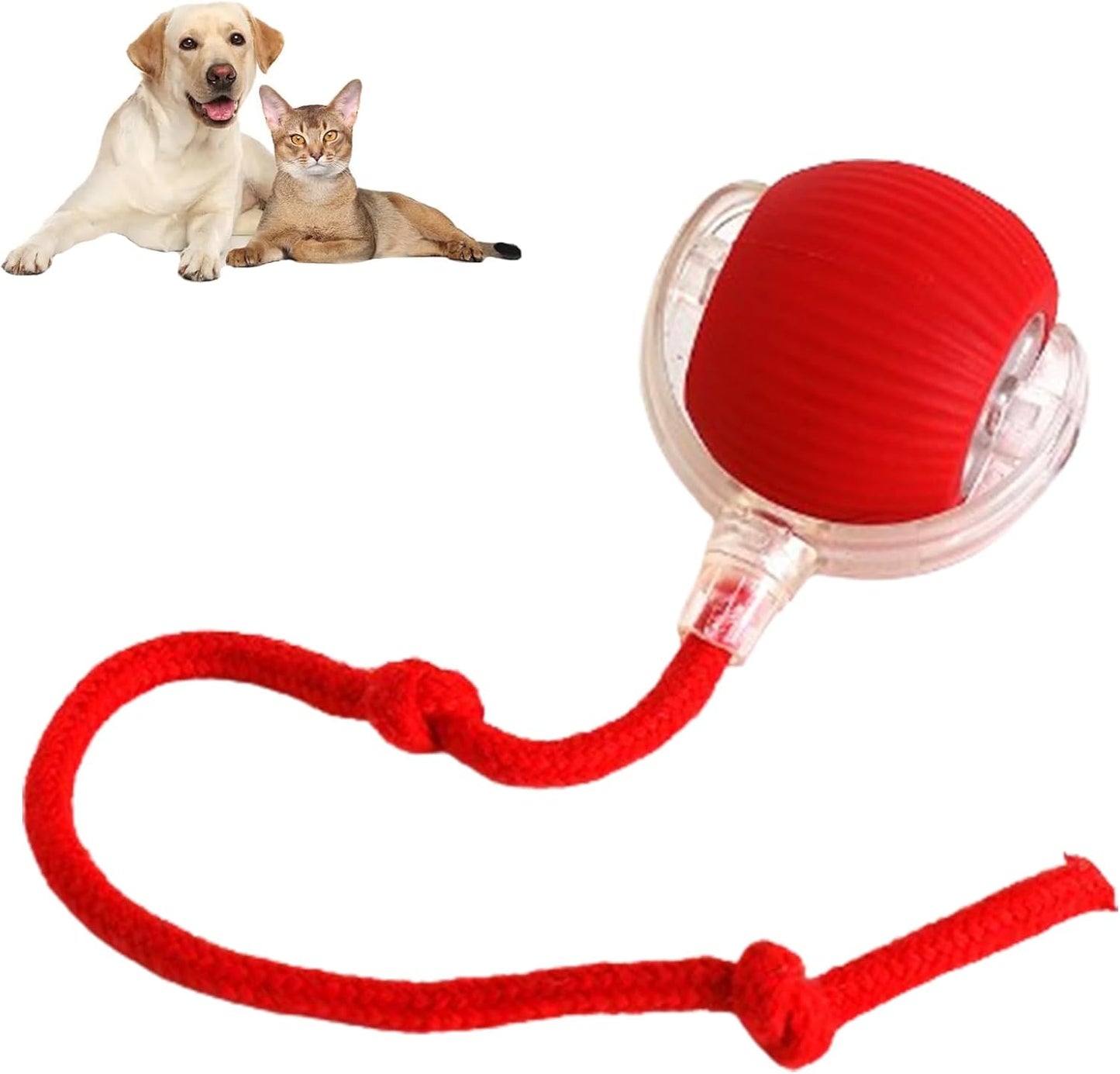 🐱Smart Pet Interactive Rolling Ball – USB Rechargeable, Automatic Moving