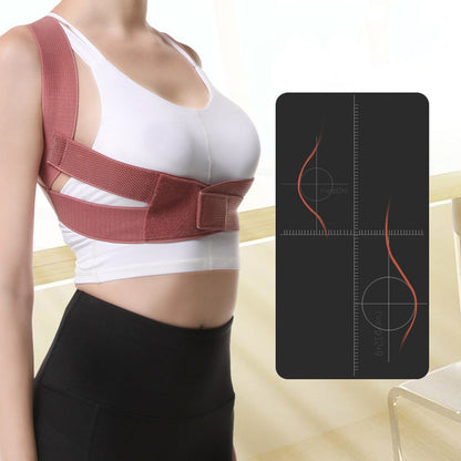 Seurico™ Back Brace and Posture Corrector for Women and Men
